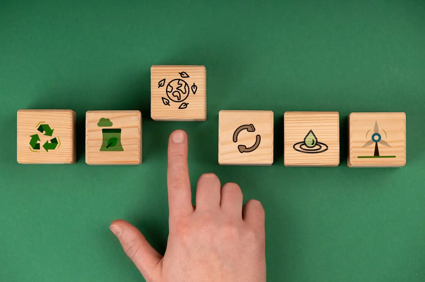 Carbon Neutrality Pledge